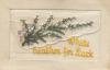 Stagg. Train Wreck. WWI
