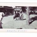 Photo #37
View of cows on a street
in Rawalpindi, India