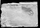 Campbell, William Nelson 1916-02-04